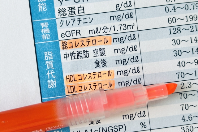【医師が解説】悪玉コレステロール(LDL)が高いと言われたら?原因・基準値・下げる方法